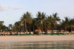 Banana Fan Sea Resort in Thailand: Insel Koh Samui