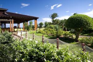 Außenbereich des Sahara Beach AquaPark Resorts mit Pavillon und umliegenden Pflanzen.