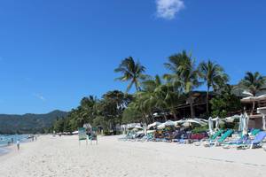 Banana Fan Sea Resort in Thailand: Insel Koh Samui