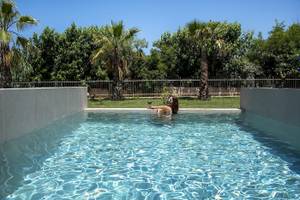 Vantaris Luxury Beach Resort - Kreta