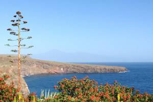 Aussicht auf das Meer mit Blumen und einer Palme am Horizont.