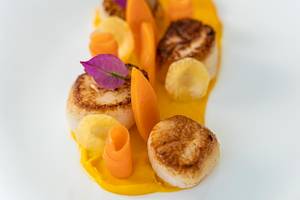 Gebratene Muscheln mit Karotten und Ingwer-Sauce auf einem weißen Teller